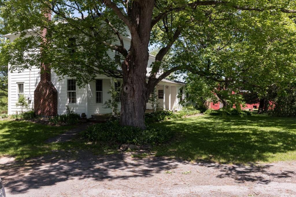 King Hill Cottage Greenville ภายนอก รูปภาพ